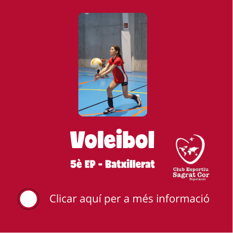 Informació extraescolar Voleibol